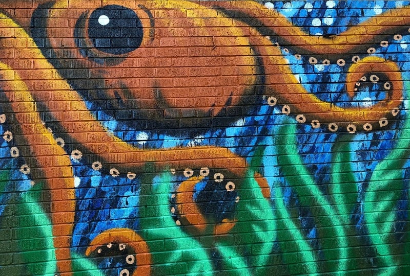 Octopus mural