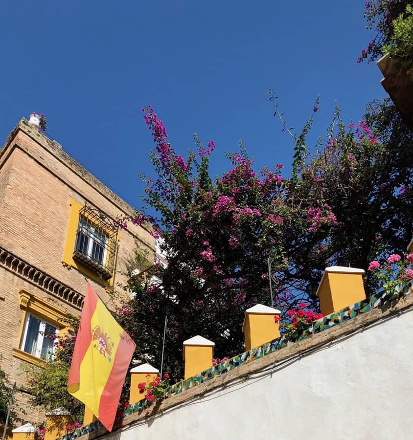 Bright bougainvillea flowers peek over a wall in Seville. A flag hangs over the edge of the wall.
