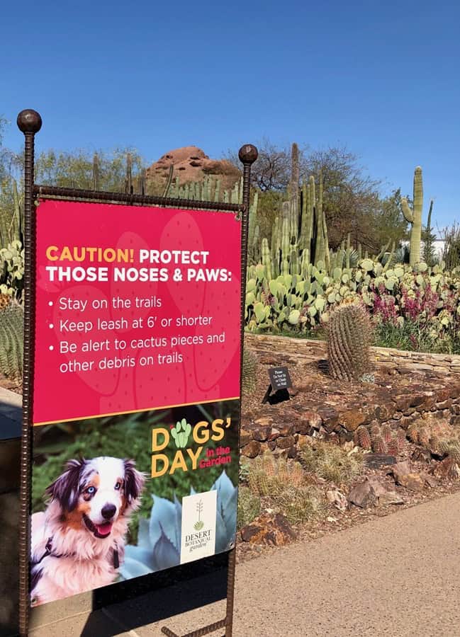 Arizona Desert Botanical Garden sign for Dog Days at the Garden.